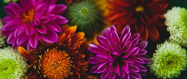 期待接下来 期待接下来